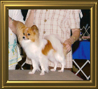 papwebsite003023.jpg