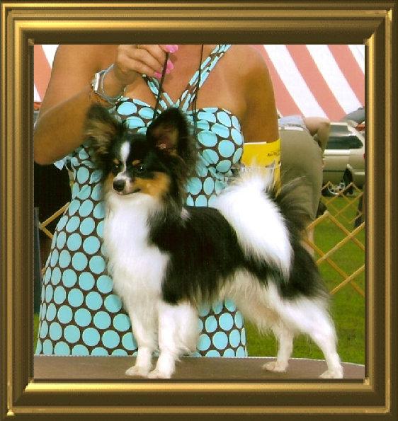 papwebsite005017.jpg