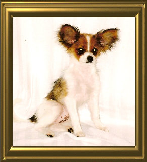 papwebsite015003.jpg